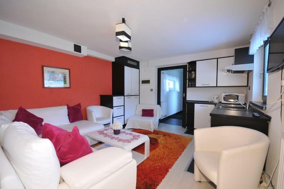 Apartmany Pod Troma Korunami Červený Kláštor Dış mekan fotoğraf